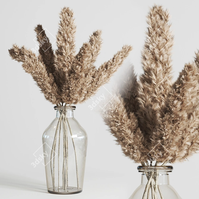 Pampas Dry Plant Bouquet in Glass Vase 3D model image 1