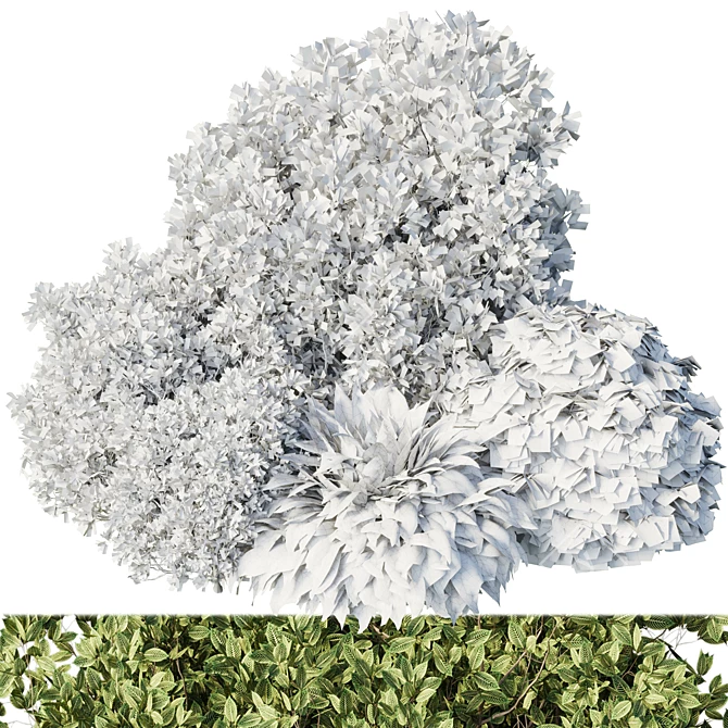 Mixed Plants Bush Set - Vray 3D Model 3D model image 5