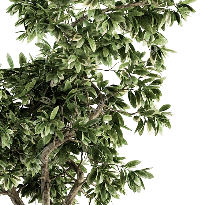 Elegant Green Branch Bouquet: Black & Gold 3D model image 4
