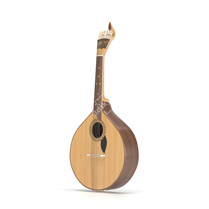 Authentic Portuguese Fado Guitar 3D model image 1