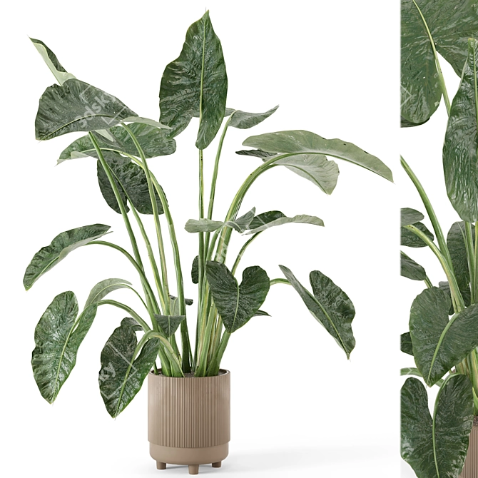  Rusty Concrete Pot Indoor Plants - Set 437 3D model image 1