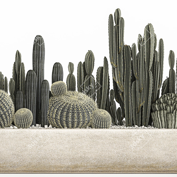 Exotic Plant Collection for Indoor and Outdoor Use 3D model image 4