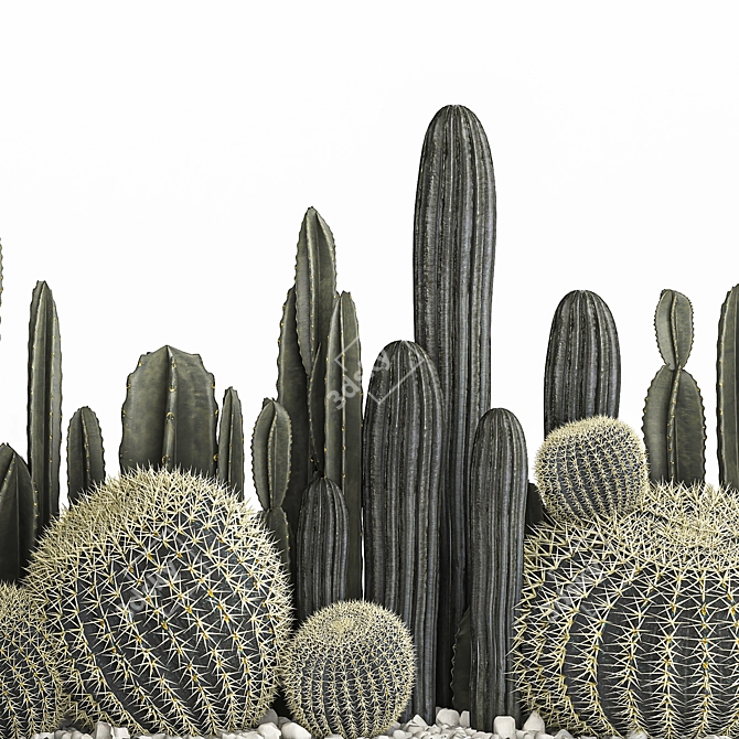 Exotic Plant Collection for Indoor and Outdoor Use 3D model image 6