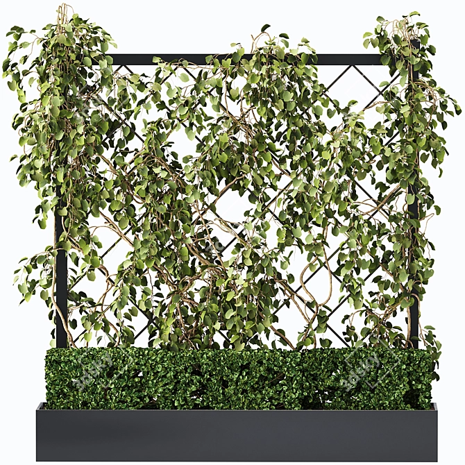 Green Wall - Outdoor Vertical Garden 3D model image 5