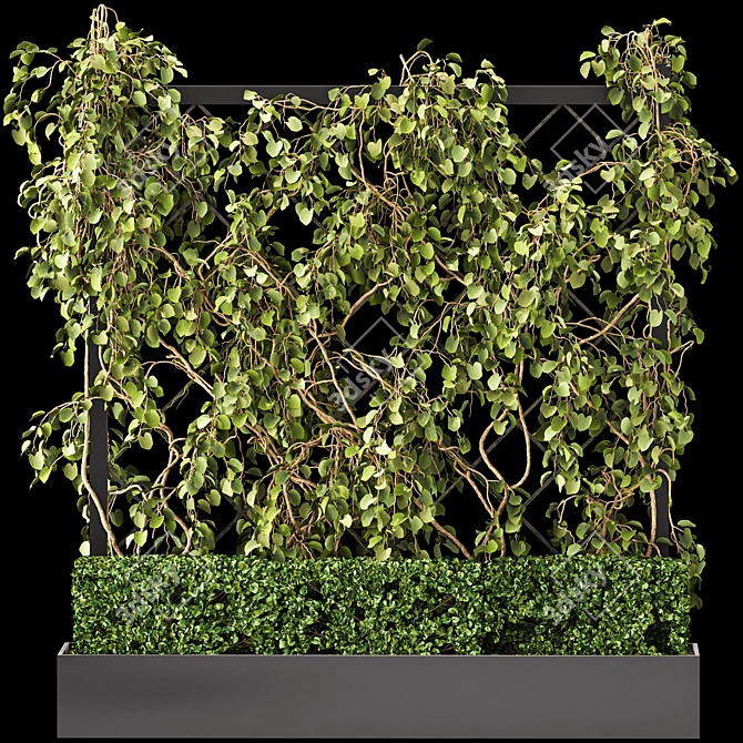 Green Wall - Outdoor Vertical Garden 3D model image 8