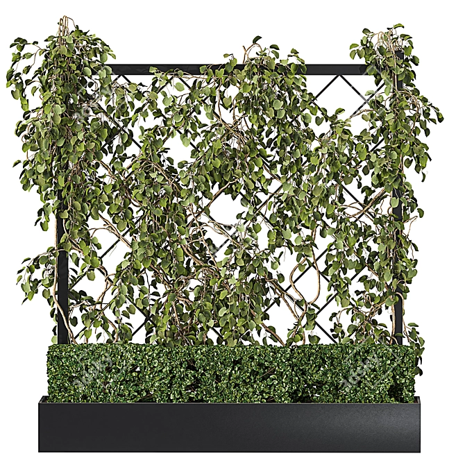 Green Wall - Outdoor Vertical Garden 3D model image 13