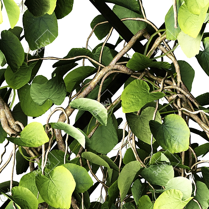 Green Wall - Outdoor Vertical Garden 3D model image 15