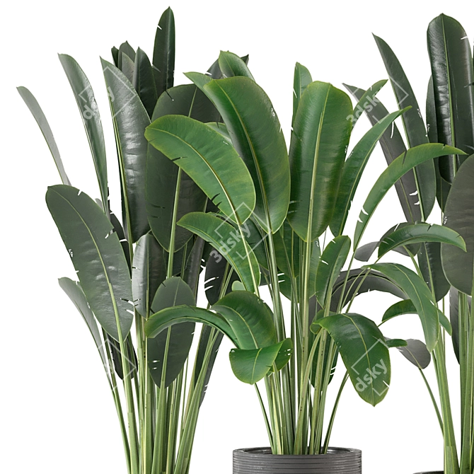 Indoor Greenery Collection - Set 201 3D model image 2