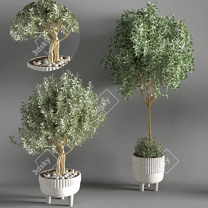 Sleek Indoor Plant for Decor 3D model image 2