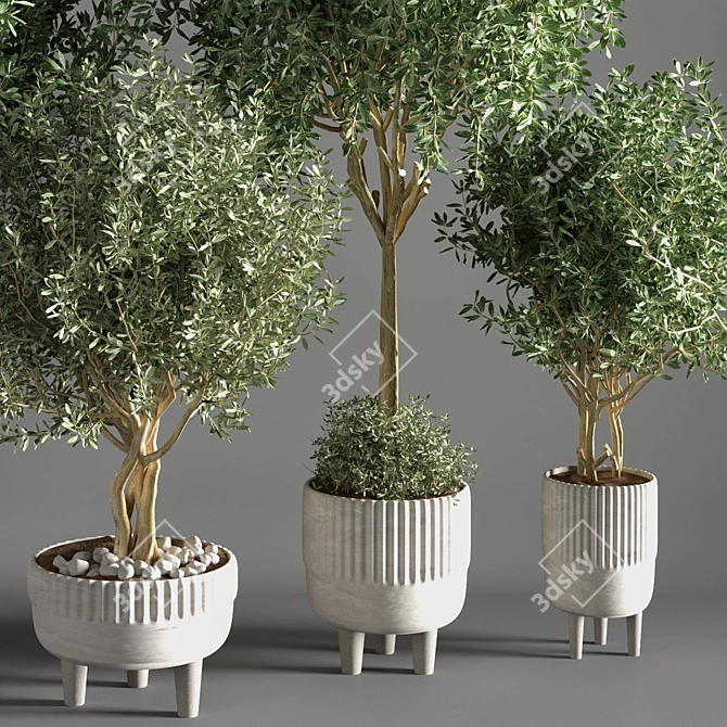 Sleek Indoor Plant for Decor 3D model image 3