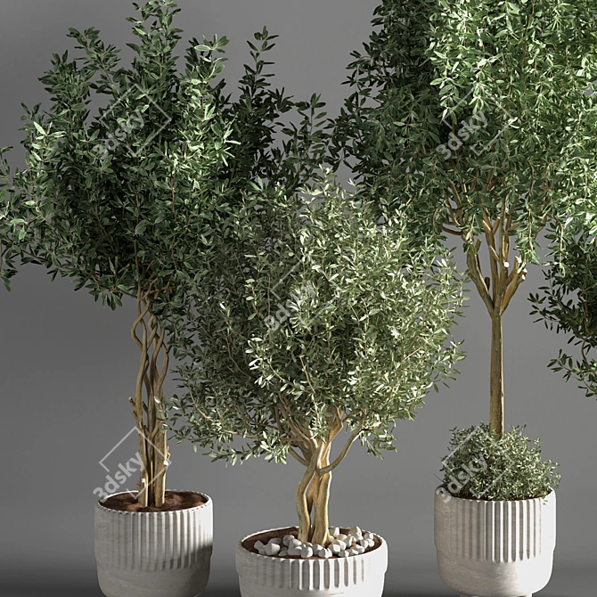 Sleek Indoor Plant for Decor 3D model image 4