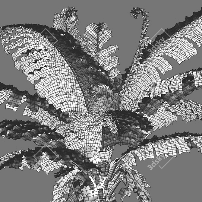 Silver Fern: Elegant Indoor Plant 3D model image 2