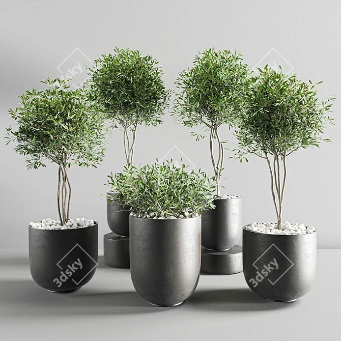 ProPlants: Optimal Collection 3D model image 1