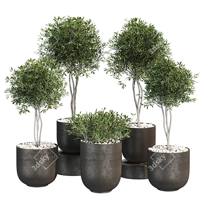 ProPlants: Optimal Collection 3D model image 4