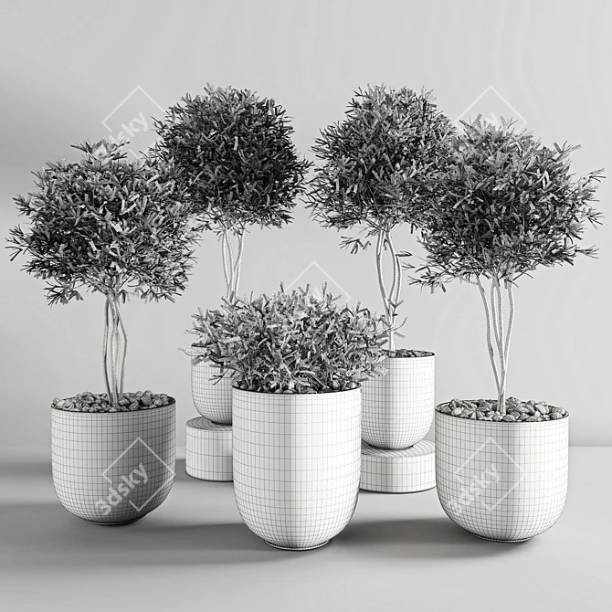 ProPlants: Optimal Collection 3D model image 5