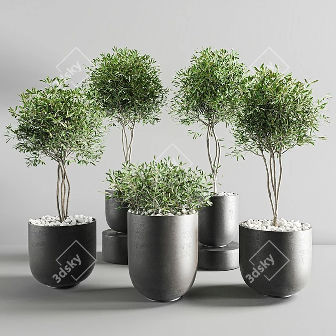 ProPlants: Optimal Collection 3D model image 6