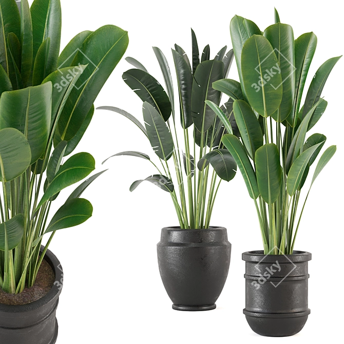 Lush Indoor Plant Set - 202 3D model image 1