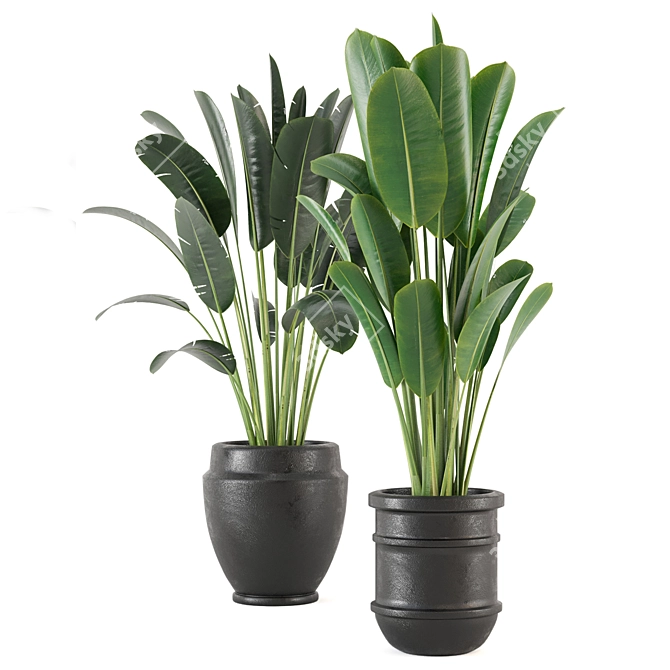 Lush Indoor Plant Set - 202 3D model image 4