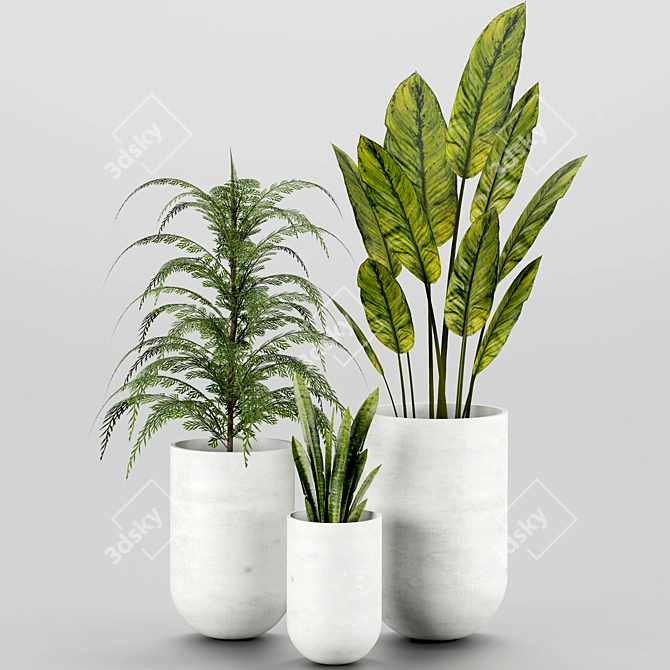 Indoor Houseplant Set: 4 Varieties 3D model image 1