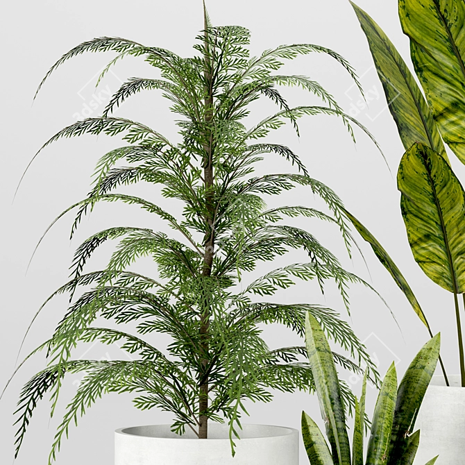 Indoor Houseplant Set: 4 Varieties 3D model image 3