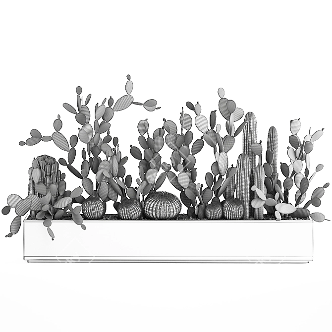 Exotic Cactus Collection 3D model image 7