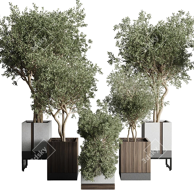 Indoor Plant Set: Box Pot, Tree Shrub Bush 3D model image 1