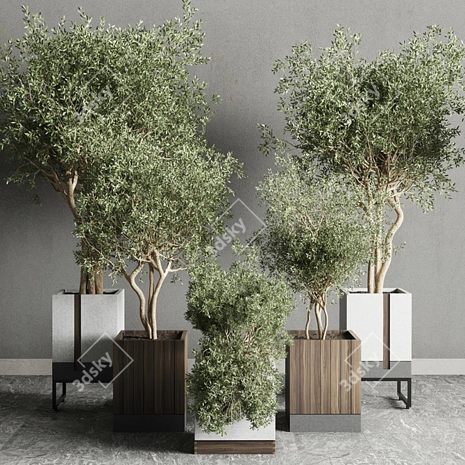 Indoor Plant Set: Box Pot, Tree Shrub Bush 3D model image 2