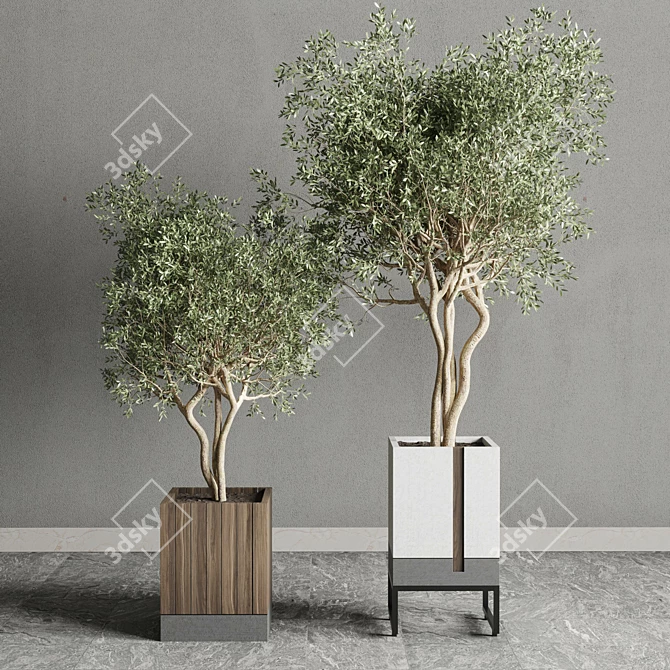 Indoor Plant Set: Box Pot, Tree Shrub Bush 3D model image 3