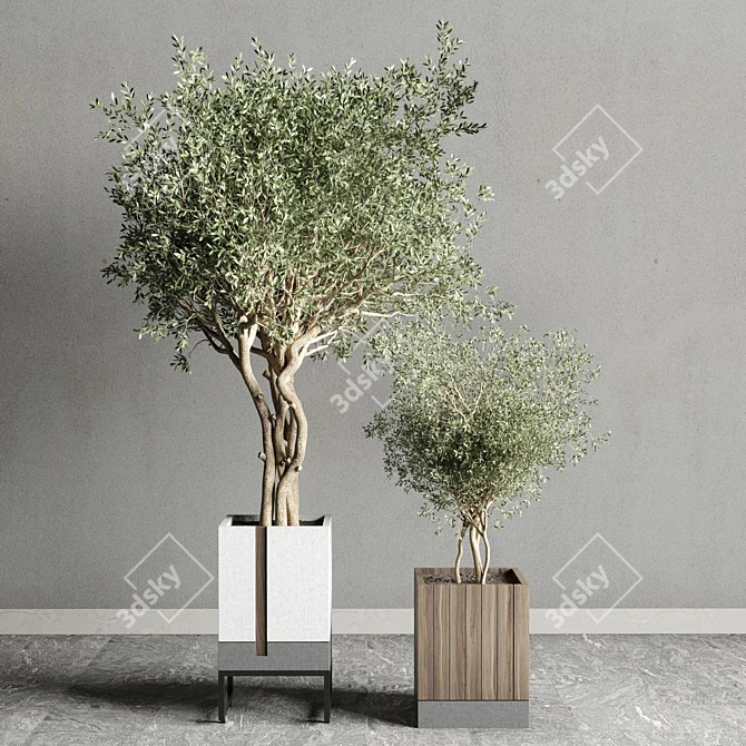 Indoor Plant Set: Box Pot, Tree Shrub Bush 3D model image 6