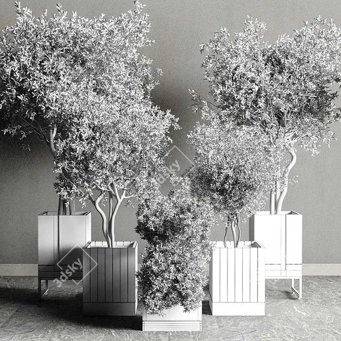 Indoor Plant Set: Box Pot, Tree Shrub Bush 3D model image 7