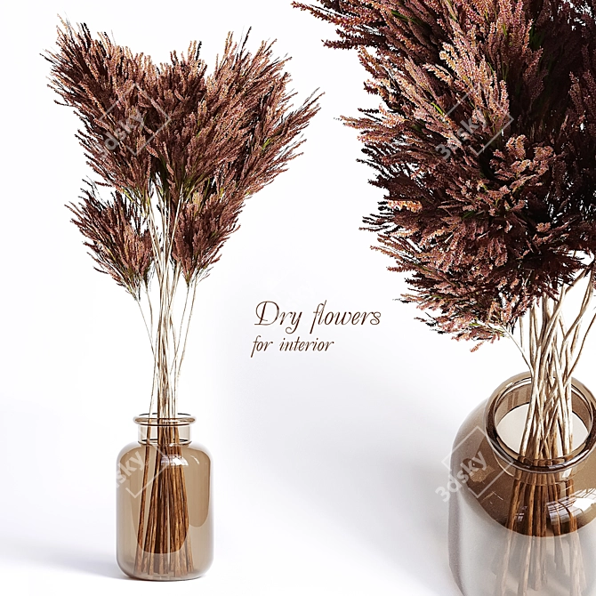 Pampas Grass Dried Flowers 3D model image 1