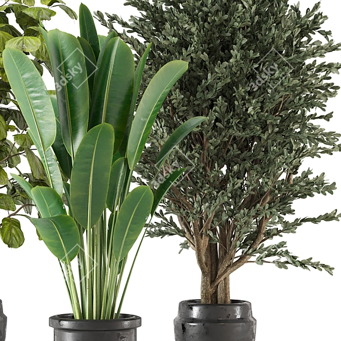 Set 203: Green Oasis - Indoor Plants 3D model image 3