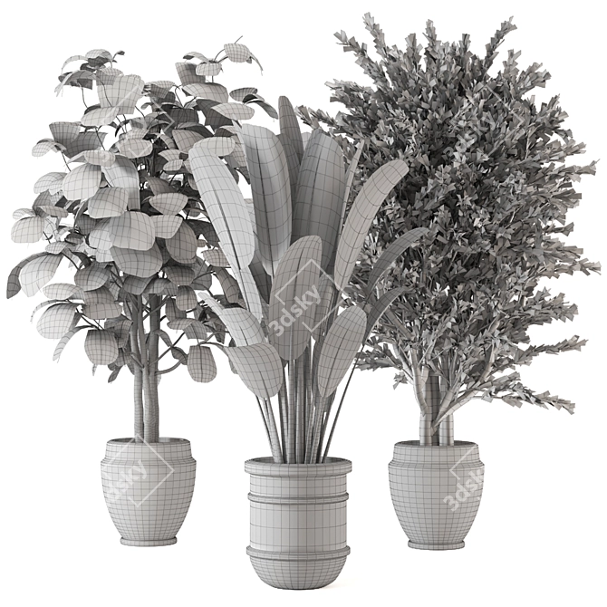 Set 203: Green Oasis - Indoor Plants 3D model image 5