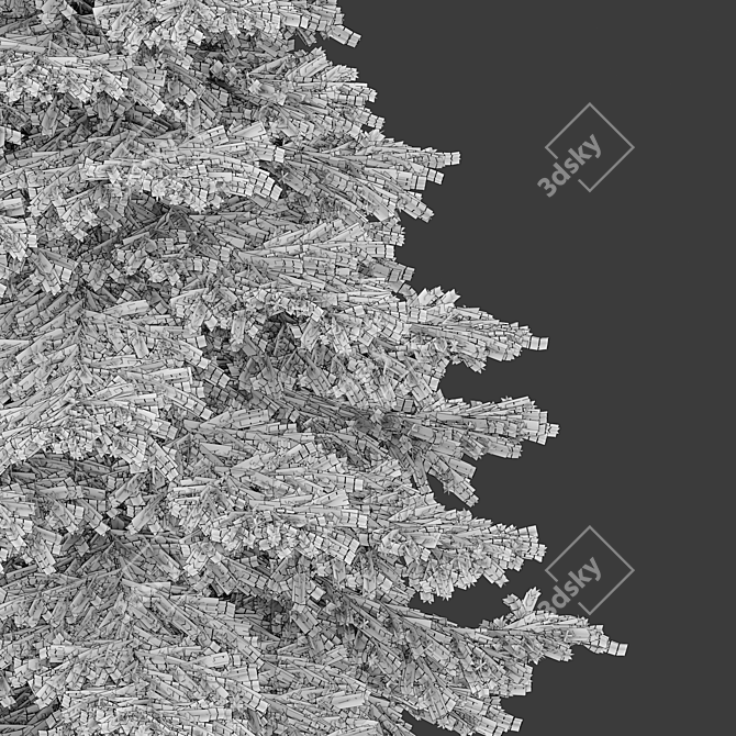 Blue Spruce (Picea pungens) - 3 Colors, Realistic 3D Model 3D model image 4