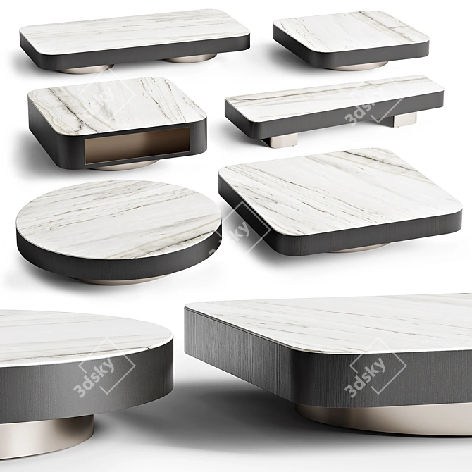 Elegant Zebrino Marble Minotti Coffee Tables 3D model image 1