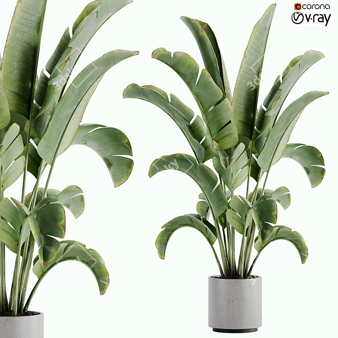 15-Piece Indoor Plant Set: V-Ray/Corona, 46,209 Polys, 2015 Version 3D model image 1