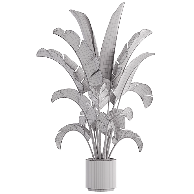 15-Piece Indoor Plant Set: V-Ray/Corona, 46,209 Polys, 2015 Version 3D model image 10