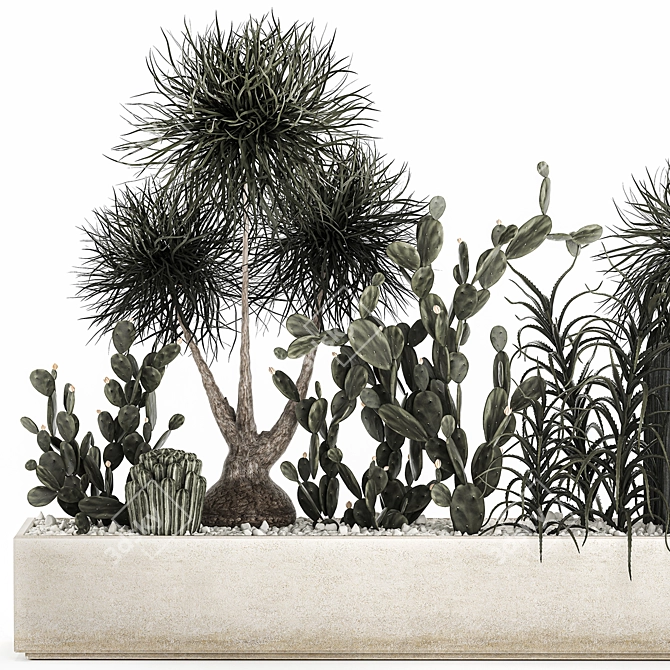 Tropical Plant Collection with Cacti & Aloe 3D model image 2