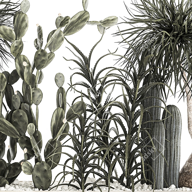 Tropical Plant Collection with Cacti & Aloe 3D model image 4