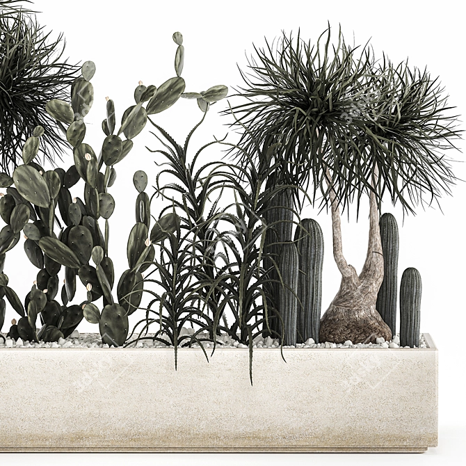 Tropical Plant Collection with Cacti & Aloe 3D model image 5