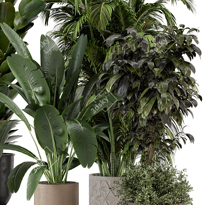 Ferm Living Bau Pot Large Set: Stylish Indoor Plants 3D model image 6
