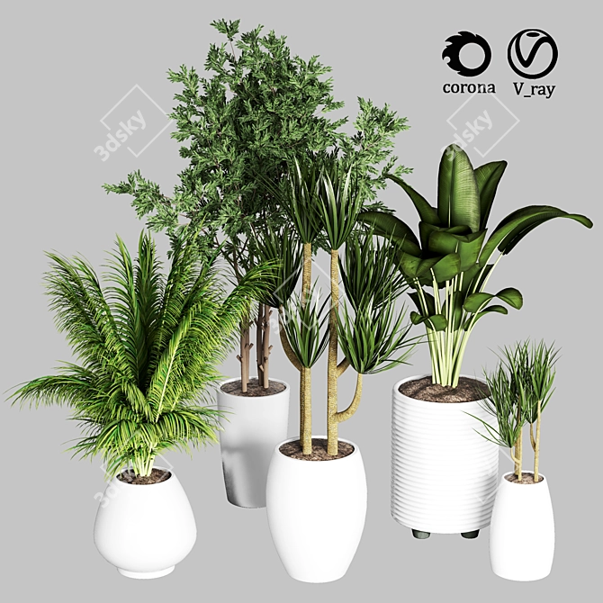 Indoor Plant Collection: 27 Varieties 3D model image 1