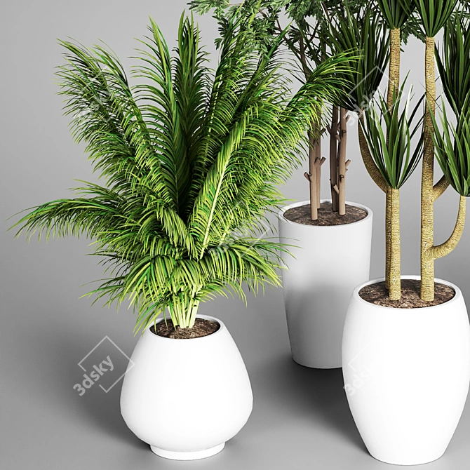 Indoor Plant Collection: 27 Varieties 3D model image 3