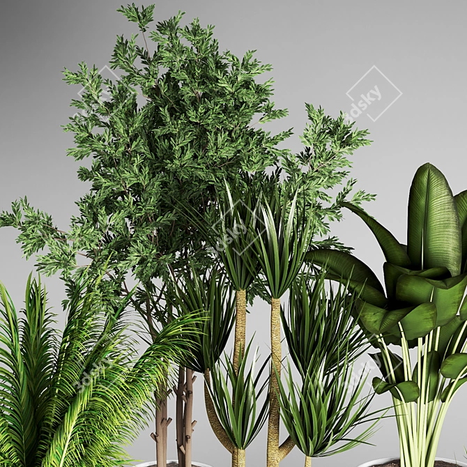 Indoor Plant Collection: 27 Varieties 3D model image 6