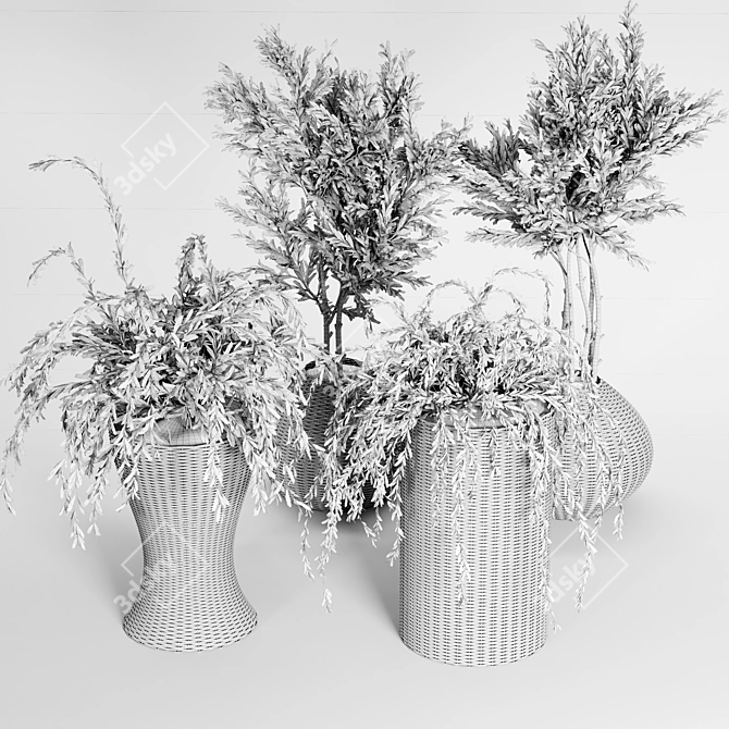 Indoor Plant Collection - 29 Varieties 3D model image 5