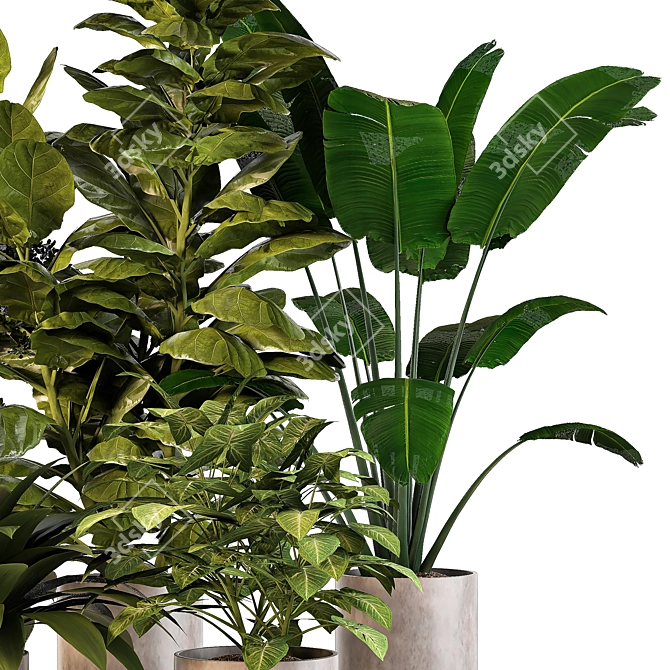 Nature's Oasis: Indoor Plant Set 3D model image 2