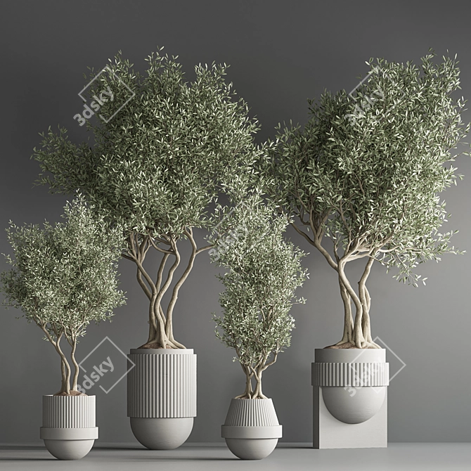 32-Piece Indoor Plant Set 3D model image 1