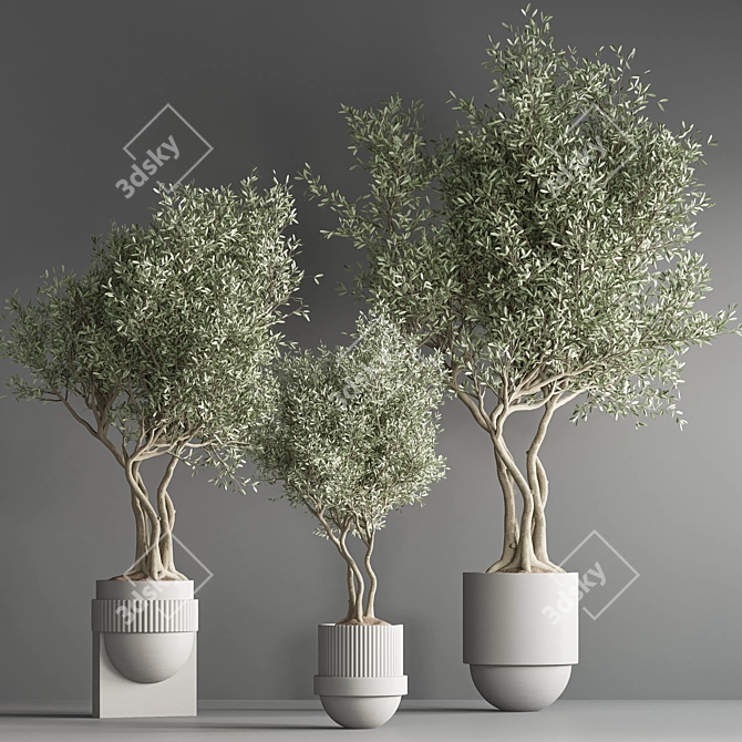 32-Piece Indoor Plant Set 3D model image 2