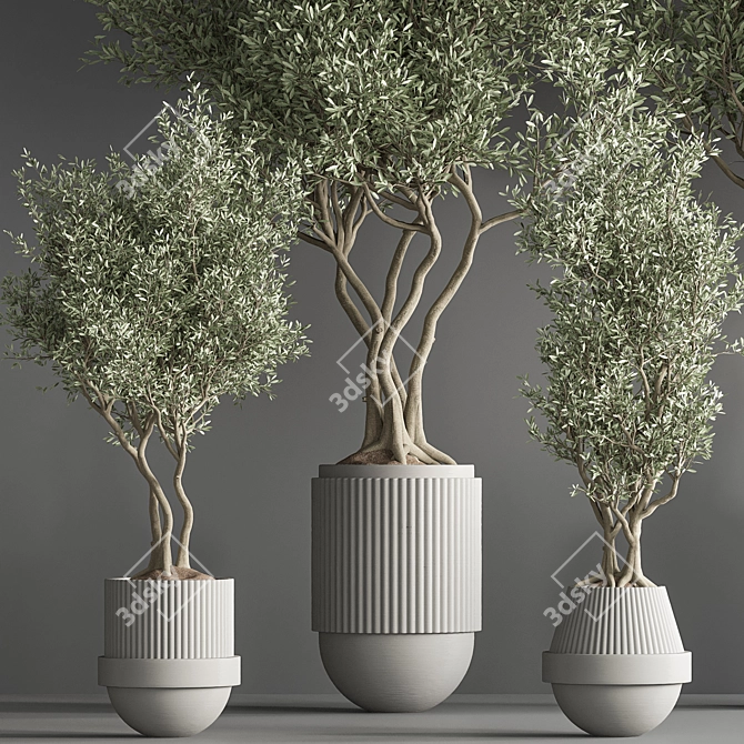 32-Piece Indoor Plant Set 3D model image 4