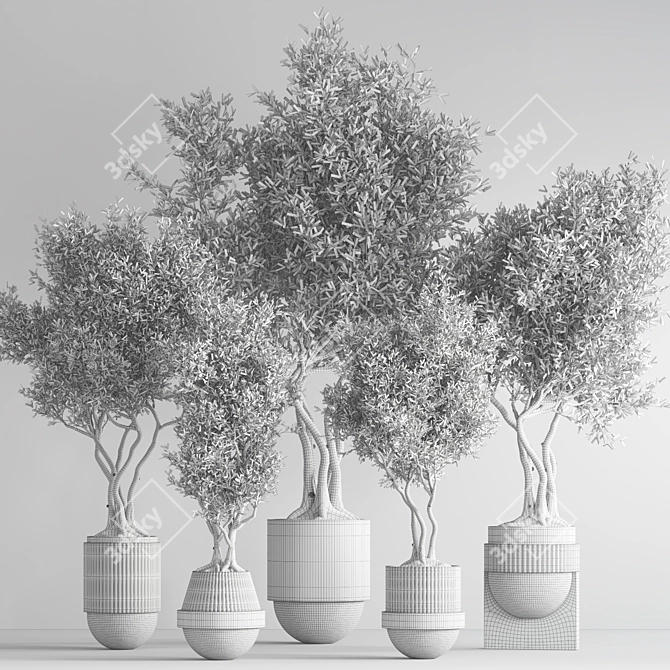 32-Piece Indoor Plant Set 3D model image 6